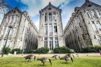Rafaelo's Apartment - Caldas / Óbidos / Nazaré / Penivhe - Portugal