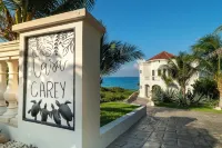 Stunning, new, unique, Caribbean front property in Punta Sur - Casa Carey!!