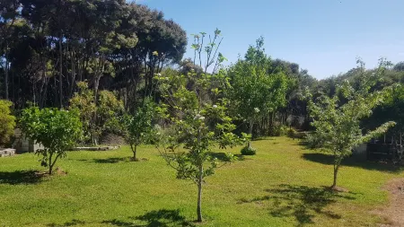 Spa Pool, Peaceful, Private  Sanctuary at Plum Tree Cottage Отели рядом с достопримечательностью «Мангохай Музеум»