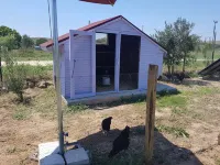 Nar Bağevi - Lemmikkieläimet sallittu