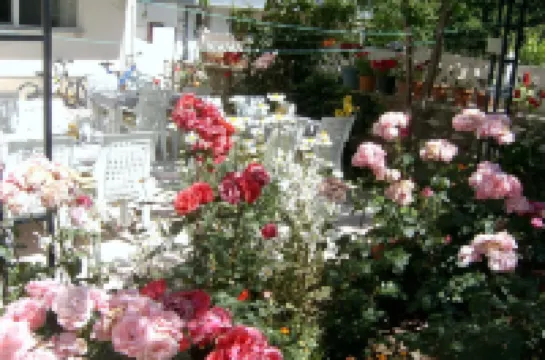 Sehsuvar Peace Pension Hotel di 