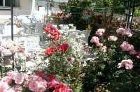 Sehsuvar Peace Pension Hotels in 