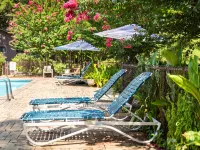 Mountain Harbor King Guest Room on Lake Ouachita Hotels in Montgomery County