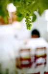 Sulo Pansiyon - Bữa sáng