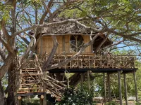 Antonio Beach Tree House Hotel & Spa Hotels in Kati