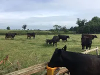 Marsh Farm Các khách sạn ở Uttoxeter