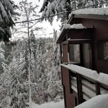Cedar Pines Cabin w/ Fire Pit & Large Deck - BIG Trees - A Quaint Rustic Charmer