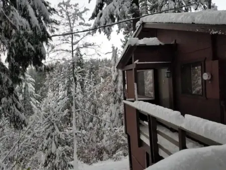 Cedar Pines Cabin w/ Fire Pit & Large Deck - BIG Trees - A Quaint Rustic Charmer