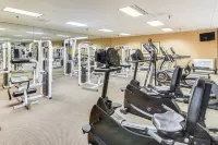 Hike, Golf and Swim Blue Ridge Cabin Escape - gimnasio