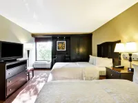Hampton Inn Kansas City/Overland Park - Parkplatz