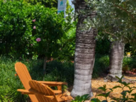 Atlantic Hideaway Hotels in Delray Beach