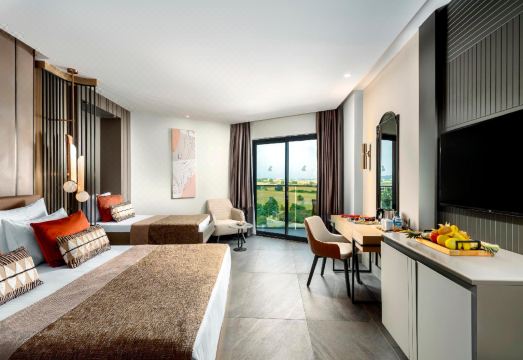 칼립투스 키르만 프리미엄