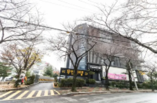 Daegu Dongchon Cacaotel