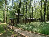 Treetops Cabin in the Woods!