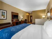 Comfort Suites Hotels in Cedar Falls