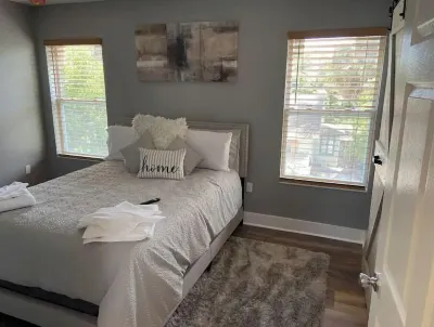 New 1 bed 1 bath luxury apt near downtown/Beach