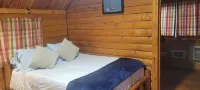 Texarkana KOA