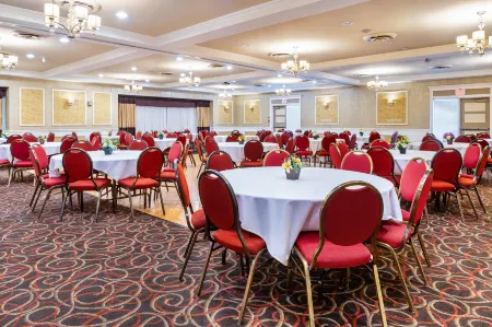 Rodeway Inn Festival