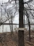 Tiny house in the woods. Pet-Friendly! - 3-Star