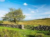 Escape to The Coach House, our picturesque and cosy cottage Hotels in Okehampton