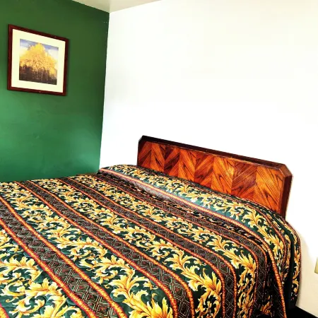 Southern Comfort Motel Отели рядом с достопримечательностью «Стадион «Легион-Филд»»