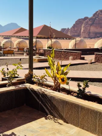 Rum moonlight luxury camp Отели в г. Aqaba Qasabah District