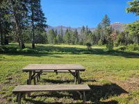 The Black Forest Lodge Hotels in Lake Almanor Country Club