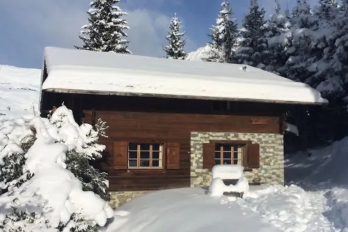 Exceptional location - Just Off The Piste - Medran Verbier