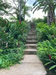 Tranquil Waterfall Studio, Oceanfront with Jungle Hiking and Starlink