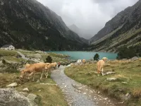 Studio 4 persons MAGNIFICENT MOUNTAIN VIEW pyrenees zenith LUZ ST SAUVEUR فنادق في Luz-Saint-Sauveur