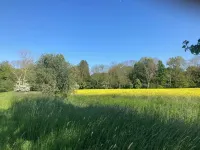 Old charm with a breath of fresh air in the manor house فنادق في Parchtitz