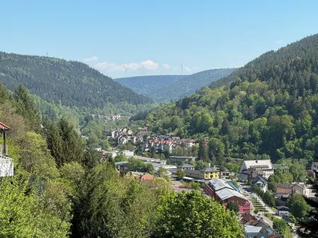 Bollenhut 1 Large, bright vacation apartment with terrace