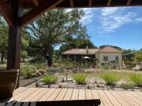 House among the Trees