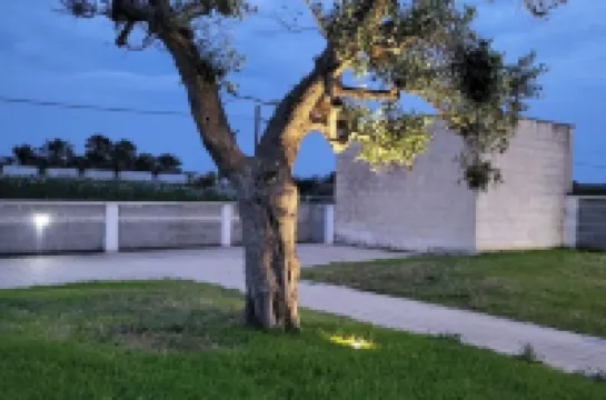 Apulia Sea Punta Prosciutto