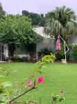 Green Serene Abode