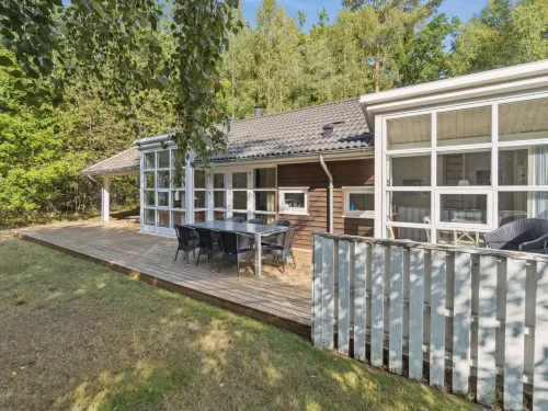 "Dorit" - 600m from the Sea