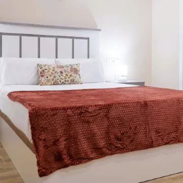 Apartamentos Doña Berenguela by gaiarooms