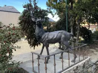 Apartament a la Molina, Grans Vistes, Llar de Foc