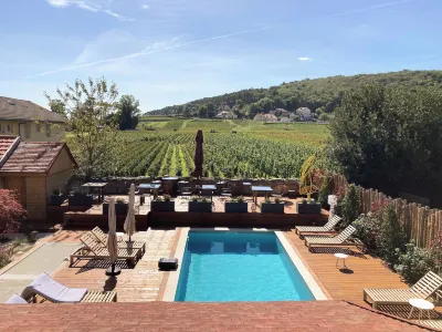 Hôtel les Deux Chèvres Gevrey-Chambertin Hotel a 