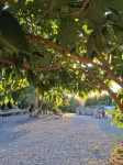La Rasora B&B Hotel a Solignano