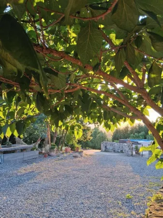 La Rasora B&B Отели в г. Felegara