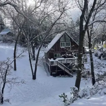 Cozy Treetop A-Frame, Fireplace, Arcade Games, Record Player