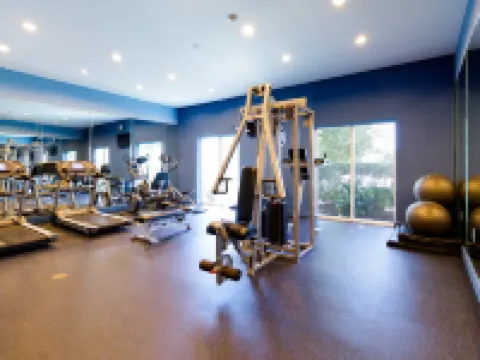 Holiday Inn HOUSTON-WEBSTER by IHG Hotels in Webster