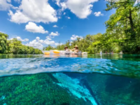 Best Western Ocala Park Centre Hotels in Ocala