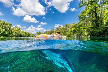 Best Western Ocala Park Centre