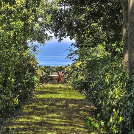 Holiday Home in Senigallia with Garden BBQ
