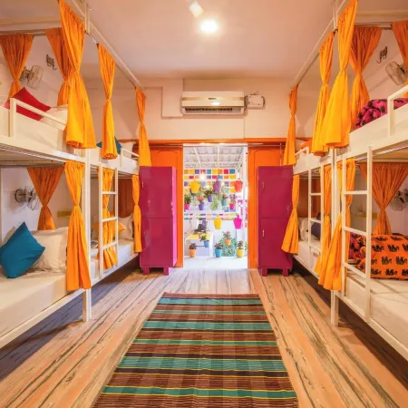 Gostops Lite Jaipur