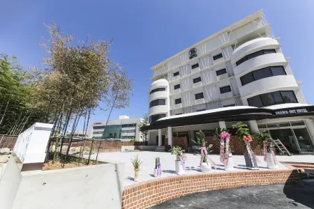 Damyang Brown Dot Jeonnam Damyang Branch