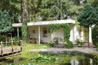A Detached Bungalow with Outdoor Fireplace Covered Terrace and Pond in a Forest Plot Hotels in Westerveld