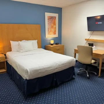 Ficus Hotel Hotels near Botanical Garden